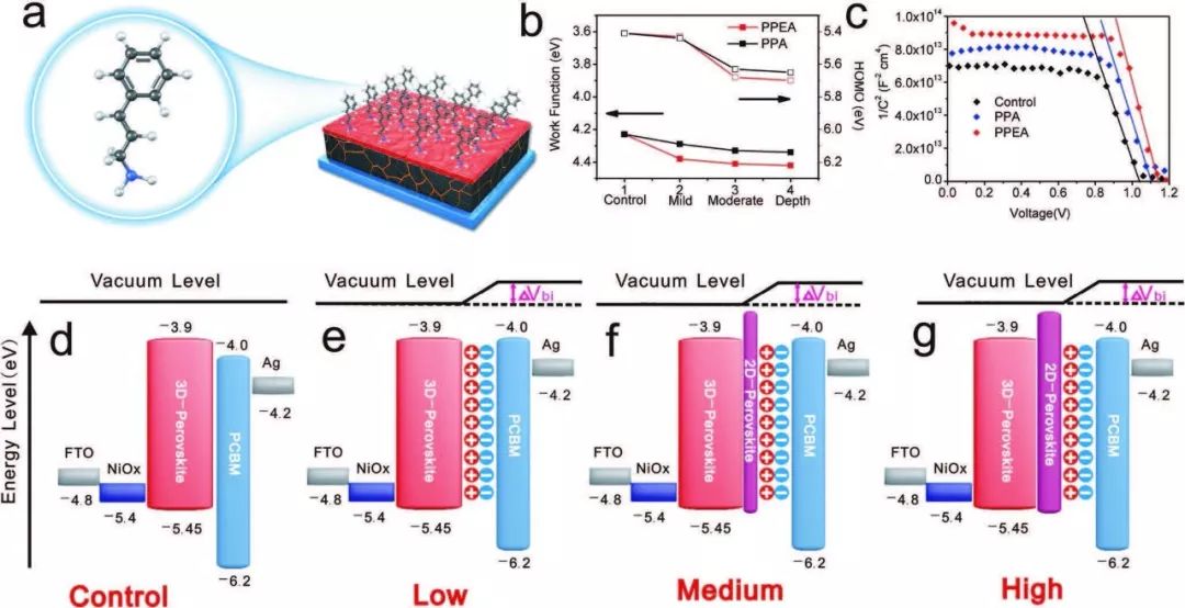 西交吴朝新AFM：设计共轭配体分子，解决钙钛矿太阳电池核心问题