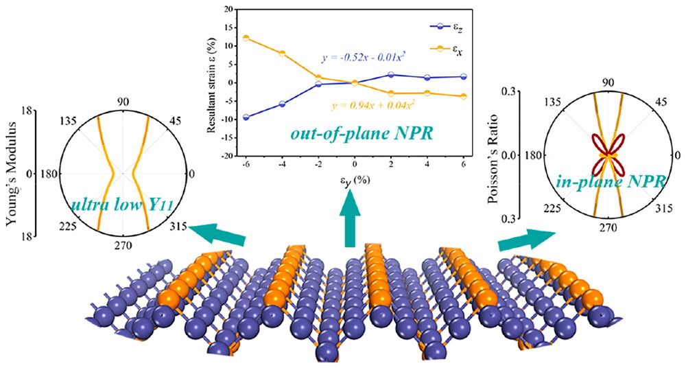 山东大学戴瑛团队Nano Letters：异常罕见的“双向拉伸膨胀二维材料”