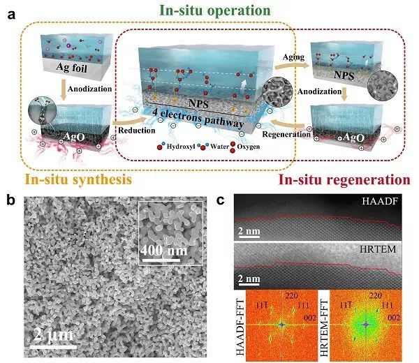 邵洋Nano Energy：高性能氧还原催化剂-多孔银的原位合成、使用与再生