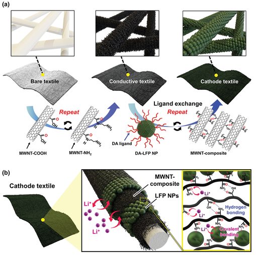 电池日报，8篇顶刊：Adv. Sci.、AEM、Nano Today、AFM、EnSM等成果合集！