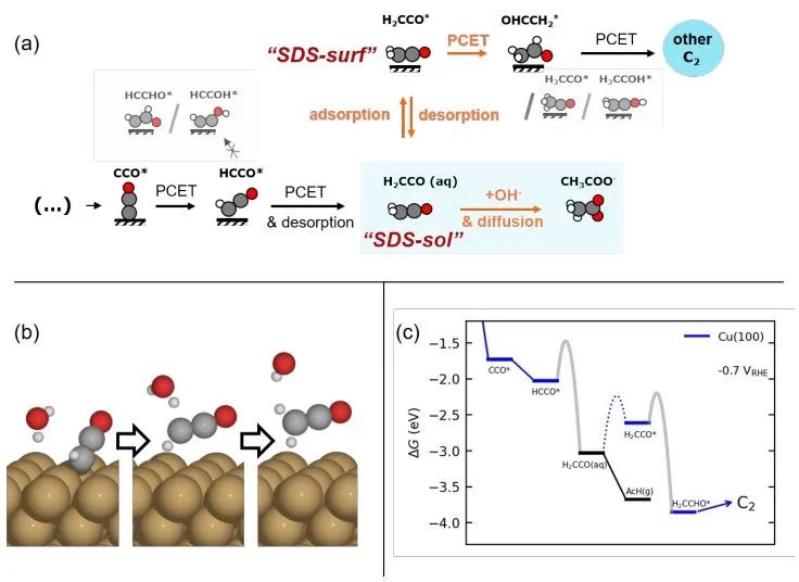 EES: Cu催化CO(2)转化为乙酸盐的机制：电位、pH和纳米结构依赖性