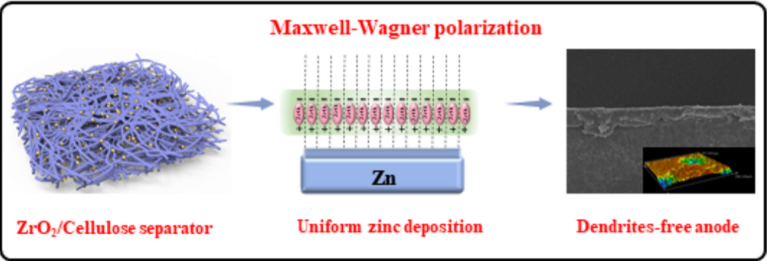黄云辉/张新宇等Nano Energy：界面极化效应的陶瓷-纤维素隔膜调节锌沉积实现耐用锌负极