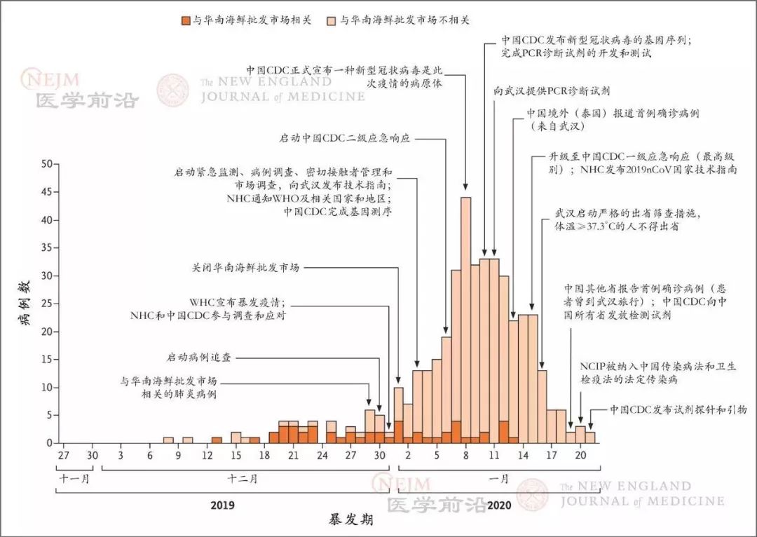 国际医学期刊：去年12月中旬，新型冠状病毒已发生人际传播