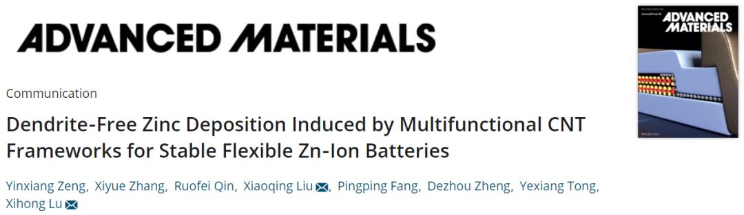 中山大学AM：多功能柔性3D碳纳米管（CNT）作为锌沉积/溶解骨架实现无树枝化锌负极