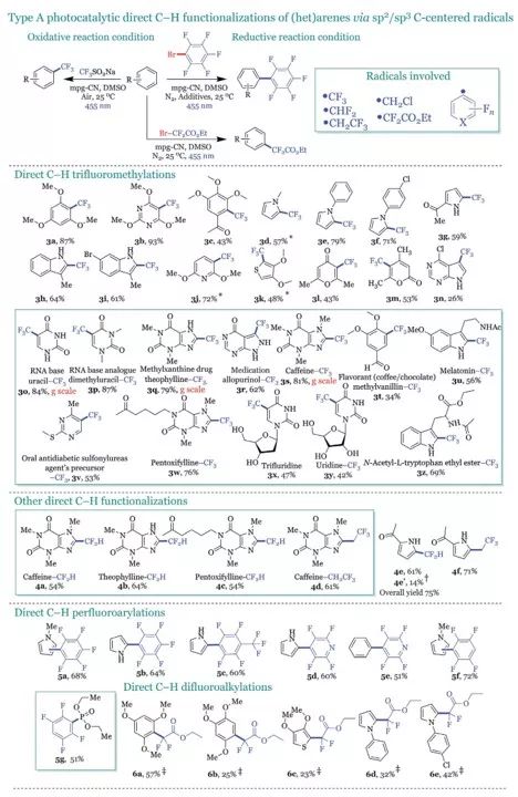 今日Science：有机半导体光催化剂实现芳烃和杂芳烃双官能化