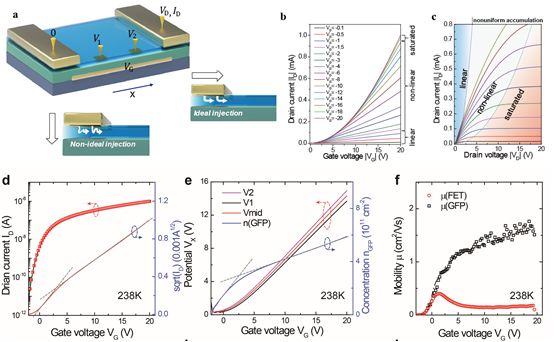 【顶刊】刘川教授Adv. Funct. Mater. 探测晶体管运作和迁移率的普适方法