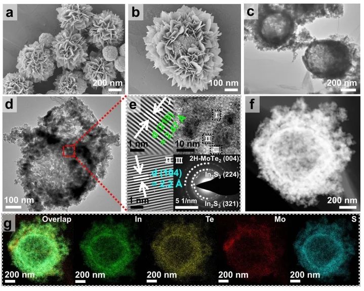 ​中山大学NML：Mo-S桥接位点提高量子效率，实现高效光催化CO2还原