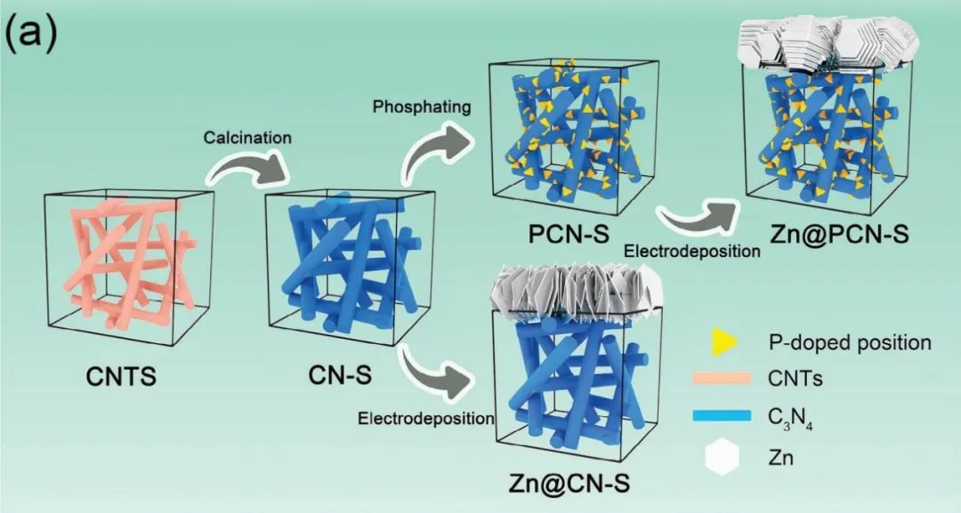 ​郑大上媛媛/北大曹安源AEM：磷掺杂策略实现“混凝土板”状锌层，用于高度稳定的3D复合负极