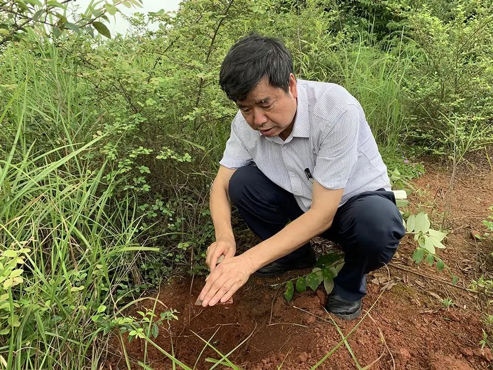 下一轮“双一流”，11所高校有望升级！