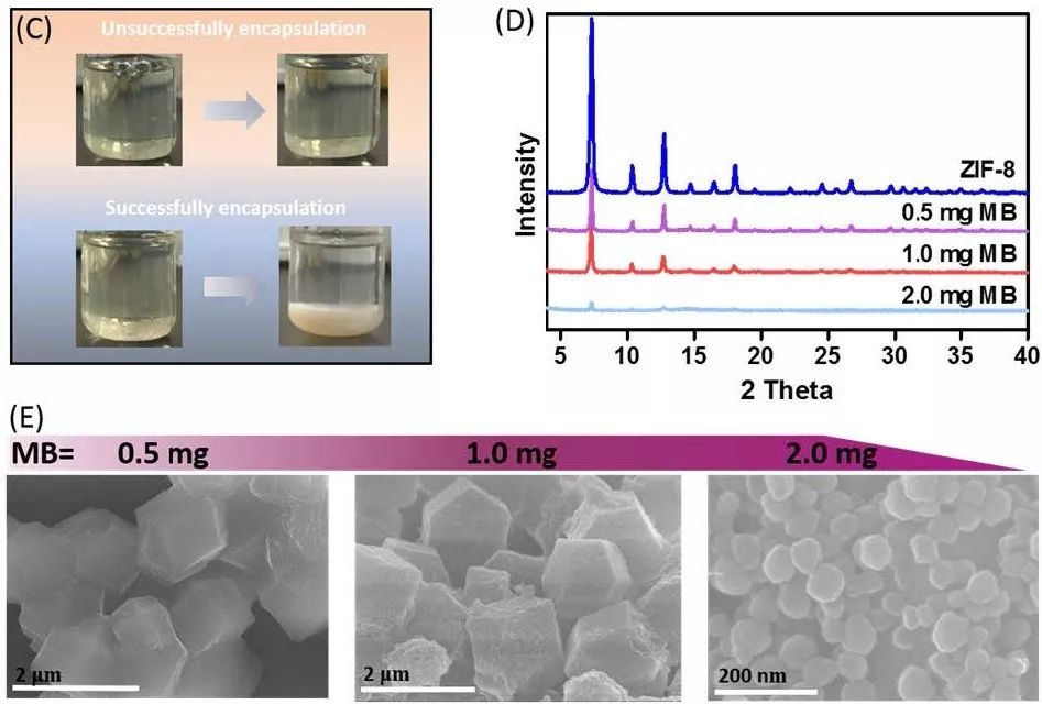 中山大学Angew. 玩转MOFs，快速高效封装酶和蛋白质