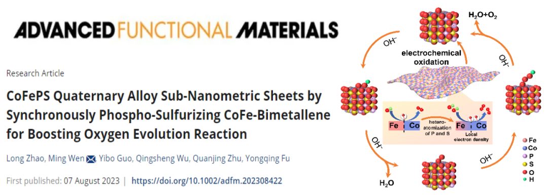 【DFT+实验】温鸣教授团队AFM：通过双贱金属烯的硫磷化实现CoFePS促进高效析氧反应