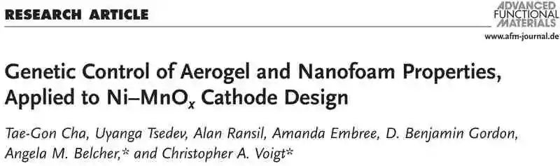 麻省理工AFM：生物制备气凝胶在Ni-MnOx正极设计中的应用