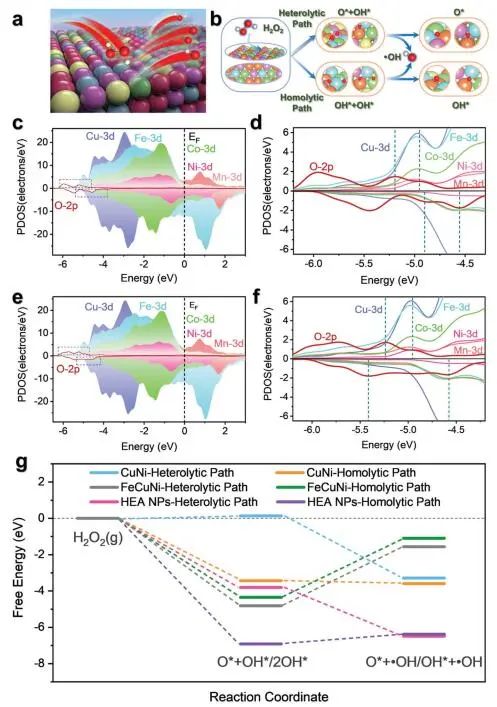 Advanced Science：首次报道！MnFeCoNiCu HEA NPs优异类POD活性