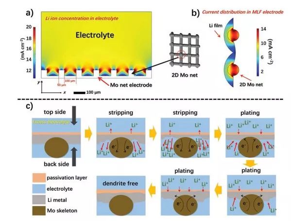 周永宁＆陆俊AEM：不对称设计高柔韧性钼网/锂金属电极，为锂沉积提供“自上而下”生长途径