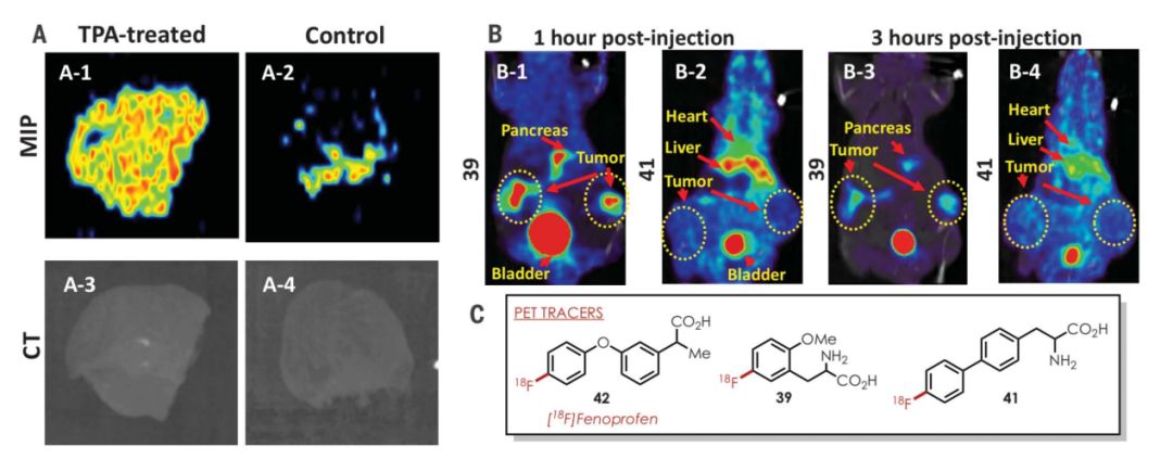 Science：通过光催化反应实现芳烃C-H键直接氟化及放射性同位素标记