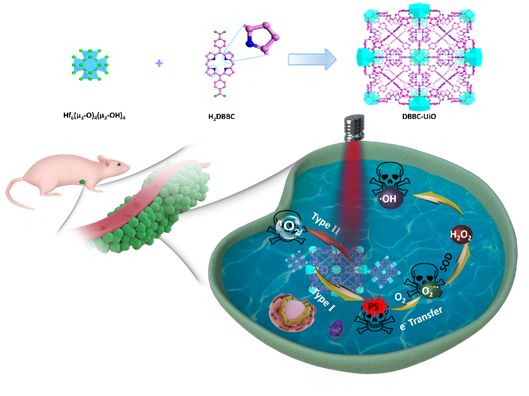 【顶刊】Adv. Sci. | 基于细菌叶绿素MOF纳米片的超氧自由基发生器的光动力治疗