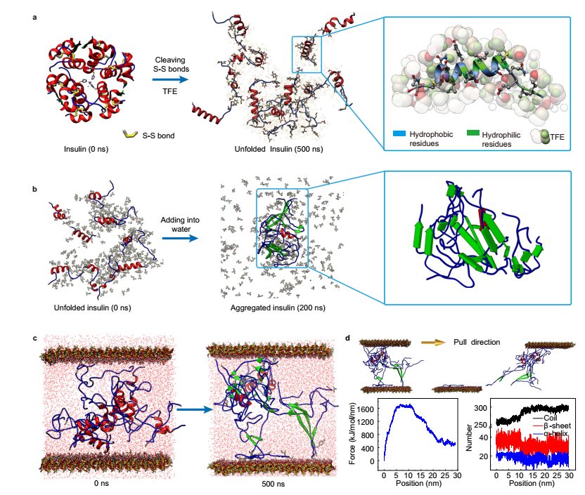 ​他，刷新校史记录，再发重磅Nature子刊！