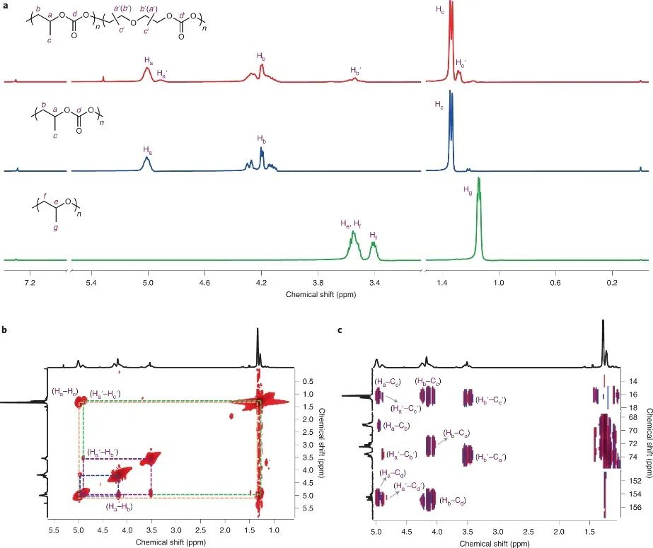 浙大伍广朋团队，最新Nature Synthesis！