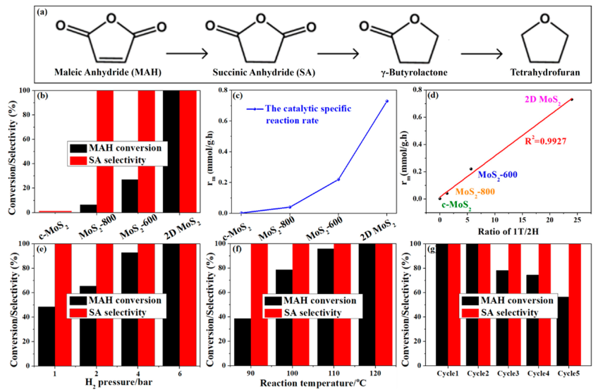 娄阳ACS Catalysis：二维 1T-MoS2边缘位点促进马来酸酐选择性加氢