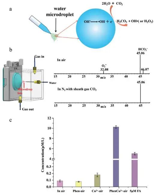 张兴磊教授AEM：空气-水微界面上CO2加氢生成甲酸