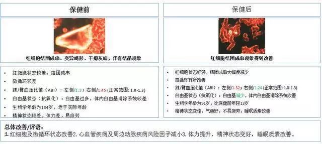 顶尖高校教授造假17年，整个领域推翻！有史以来最大的学术丑闻