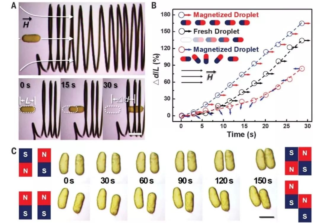 北京化工大学Science：可以反复“蹂躏”！基于可逆顺磁-铁磁转变的铁磁流体液滴
