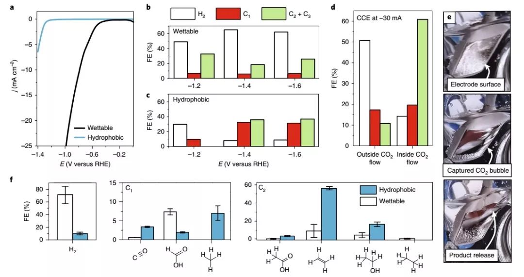 Nature Materials：来自大自然的启示，构建高效CO2RR界面