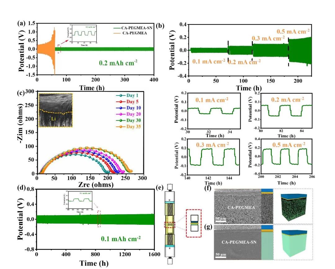 东北师大/加拿大西安大略大学Nano Energy：超薄耐高电压双相固态聚合物电解质