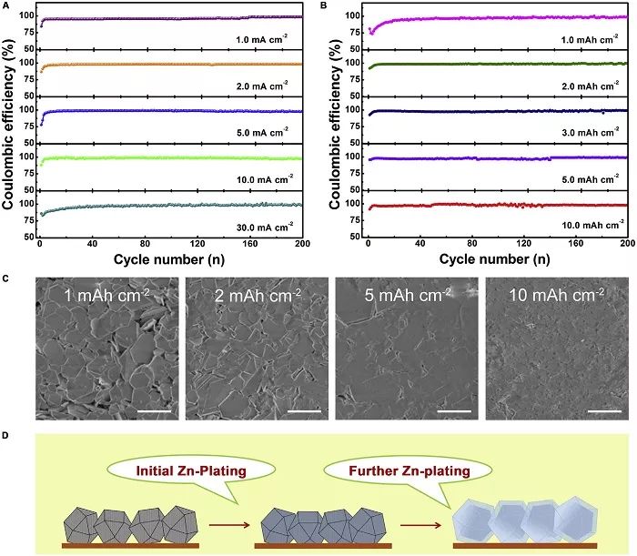 【顶刊】复旦大学王永刚Joule：MOF负载金属锌规避锌枝晶生长