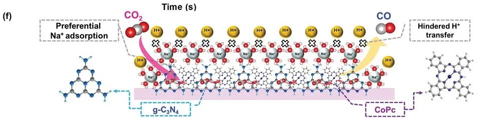 Adv. Energy Mater.：CoPc分子注入石墨氮化碳催化剂助力电还原CO2