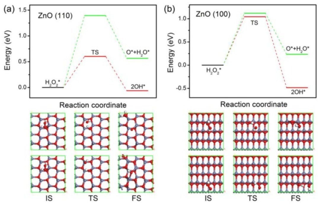 【计算论文深度解读】密度泛函研究硫族化锌上H2O2的高效解离和形成机制