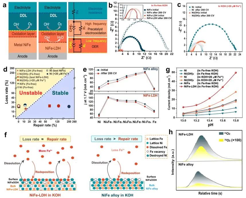 李念兵/罗红群​ACS Catalysis：NiFe基电催化剂OER中Fe的动态交换自修复机理