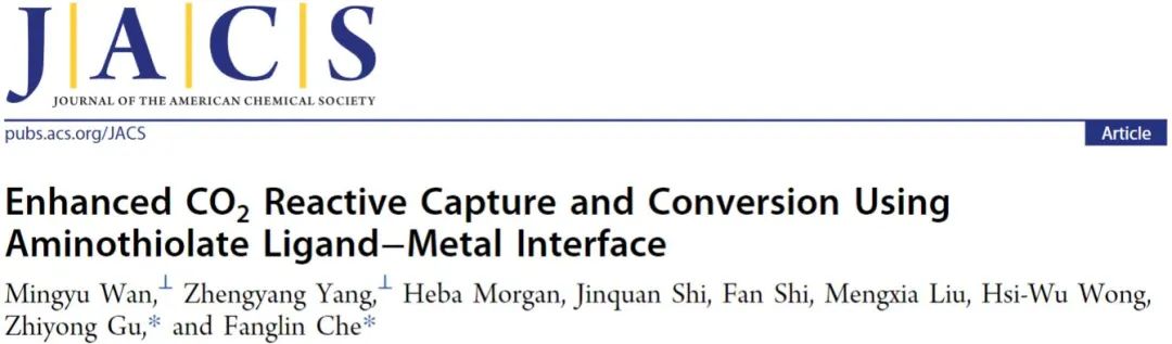 ​JACS：使用氨基硫醇配体-金属界面增强CO2反应捕获和转化