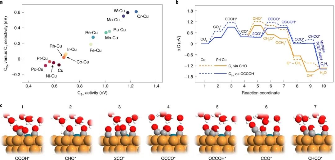 Edward H. Sargent院士和王莹教授，最新Nature Catalysis！