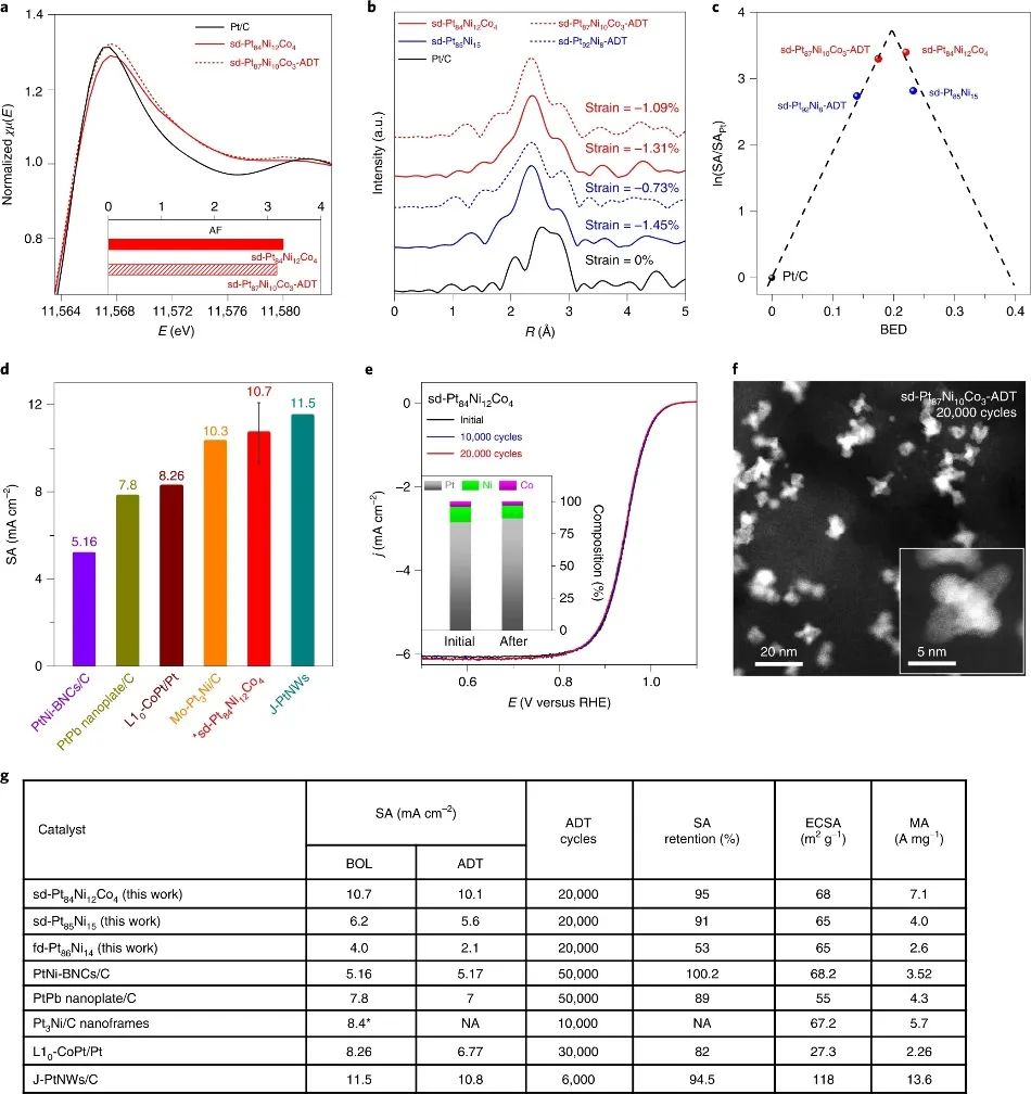 黄昱教授等人，最新Nature Catalysis！