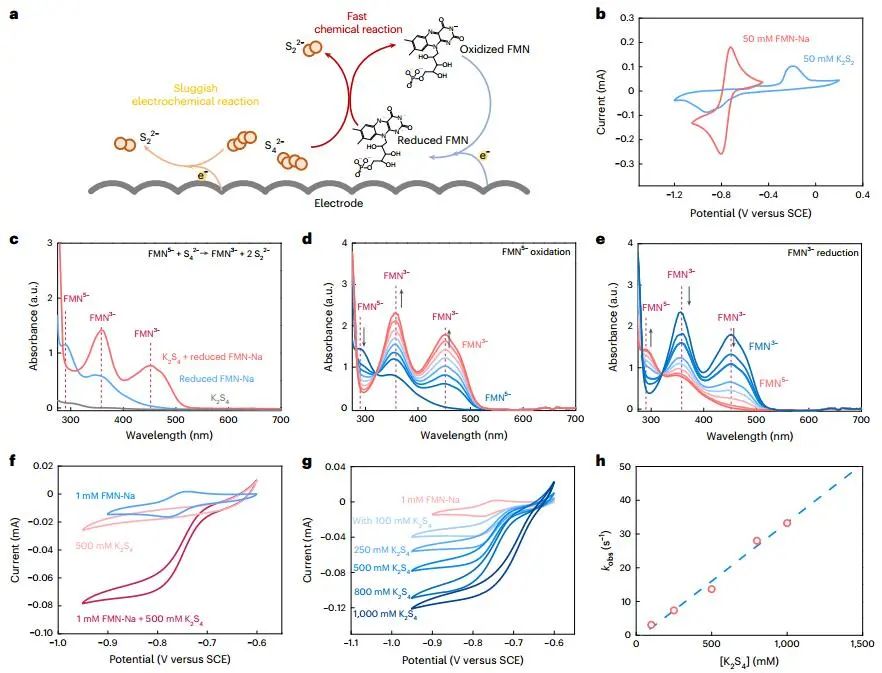 卢怡君团队，最新Nature Energy！