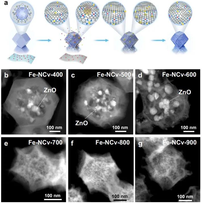 计算日报||顶刊集锦：Nature子刊/JACS/AFM/Angew/ACS Catal.等成果