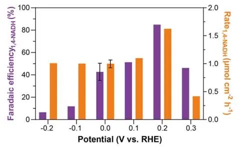 杨培东院士团队，最新JACS！