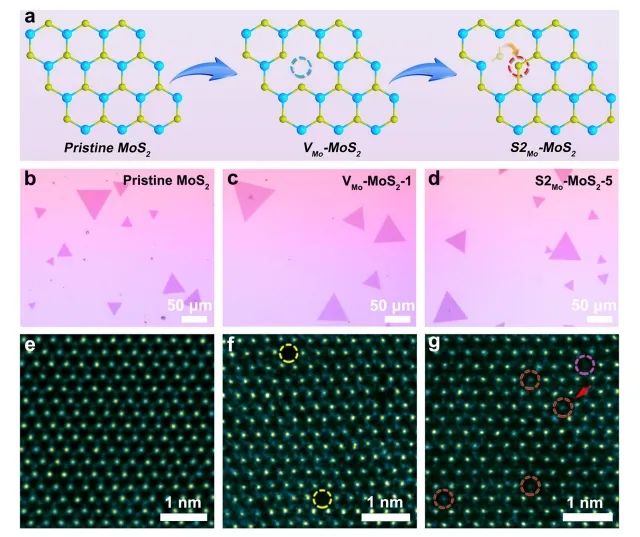 催化日报||顶刊集锦：Nature子刊/JACS/Angew./EES/ACS Nano等成果