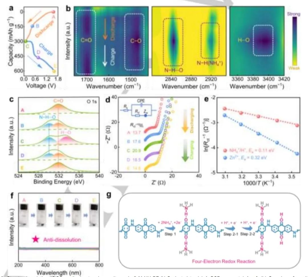 ​同济刘明贤Angew：有机超结构中非金属NH4+/H+电荷载体共储能机制构建高性能水系锌-有机电池