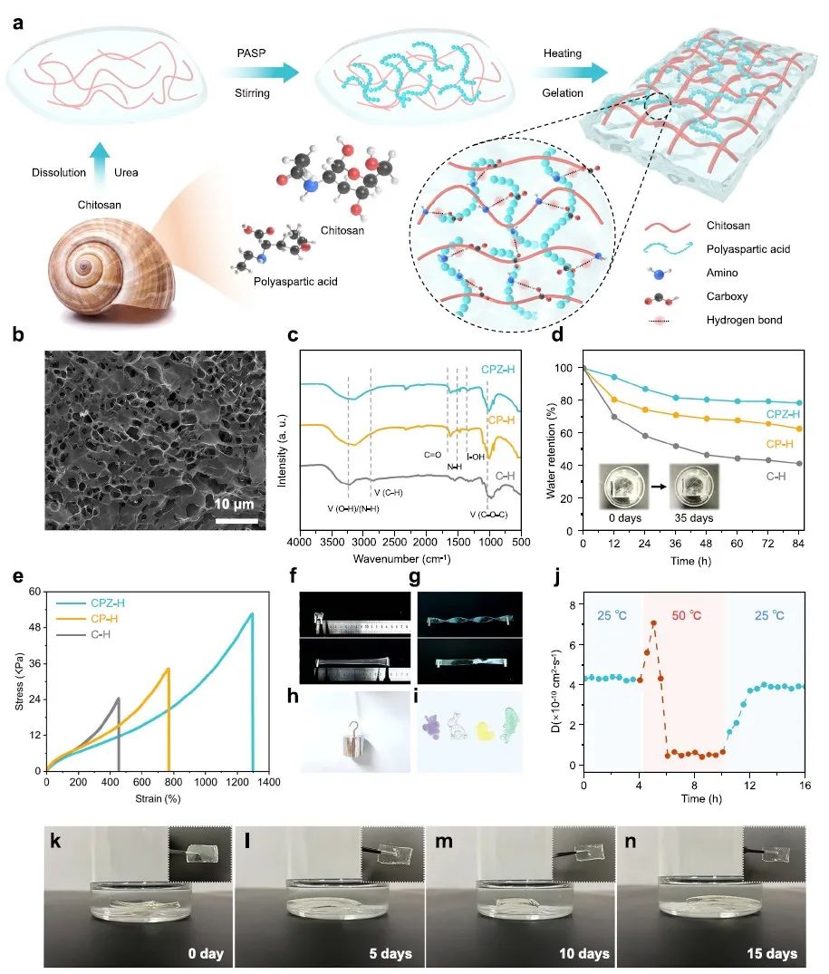 清华/港理工：最新Nature子刊！