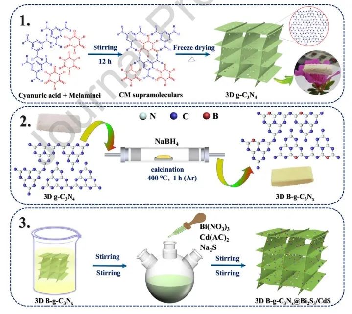 云南大学Nano Energy：双S型异质结实现多通道电荷转移，增强光热-光催化性能