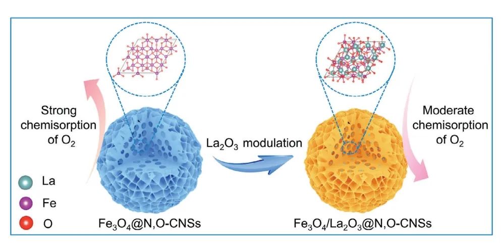 苏大晏成林/南通大学钱涛​AFM：La2O3 调整铁d带中心的化学吸附方式增强阴离子交换膜燃料电池中的氧还原作用