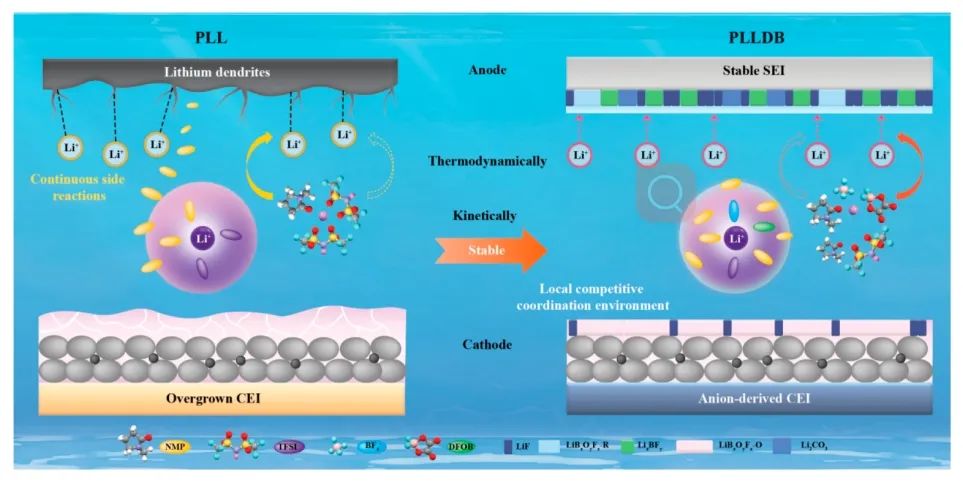 哈工大王家钧/娄帅锋JACS：封装游离溶剂实现高稳定长循环固态电池