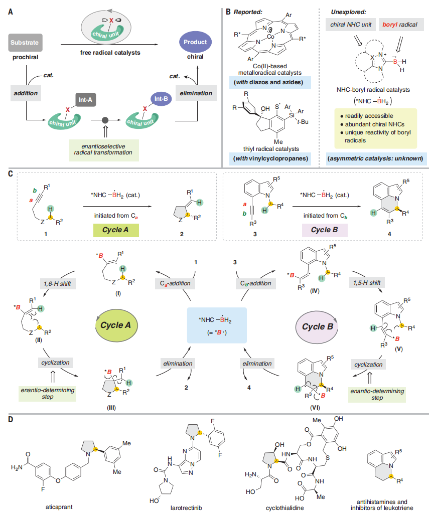 中科大，最新Science！