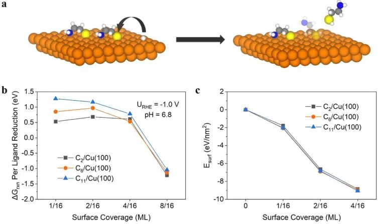 ​JACS：使用氨基硫醇配体-金属界面增强CO2反应捕获和转化