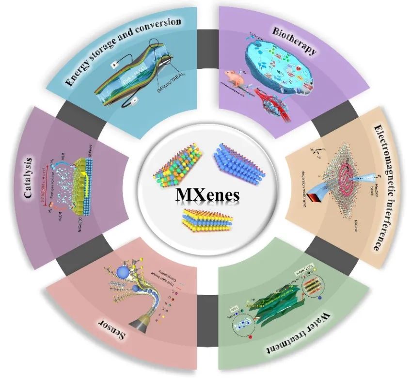 吉林大学，最新MXenes综述：用于下一代技术的制备策略和构效关系的进展与展望