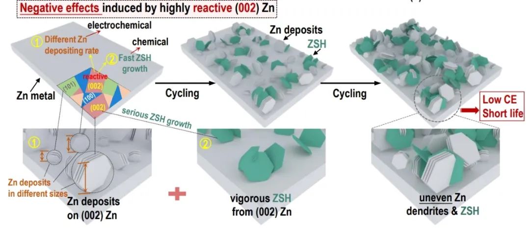 ​中南/南大EES: 选择性刻蚀高活性 (002) Zn 面可实现高效水系锌金属电池