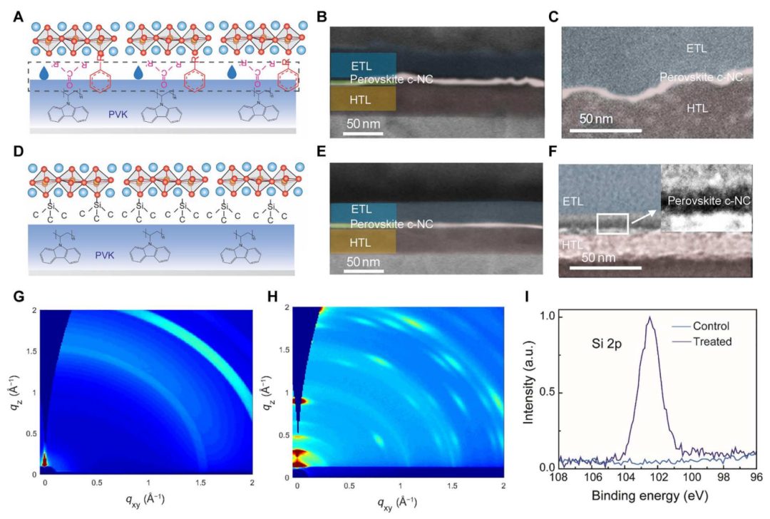 超燃！他，Nature Catalysis、Science Advances再次背靠背！