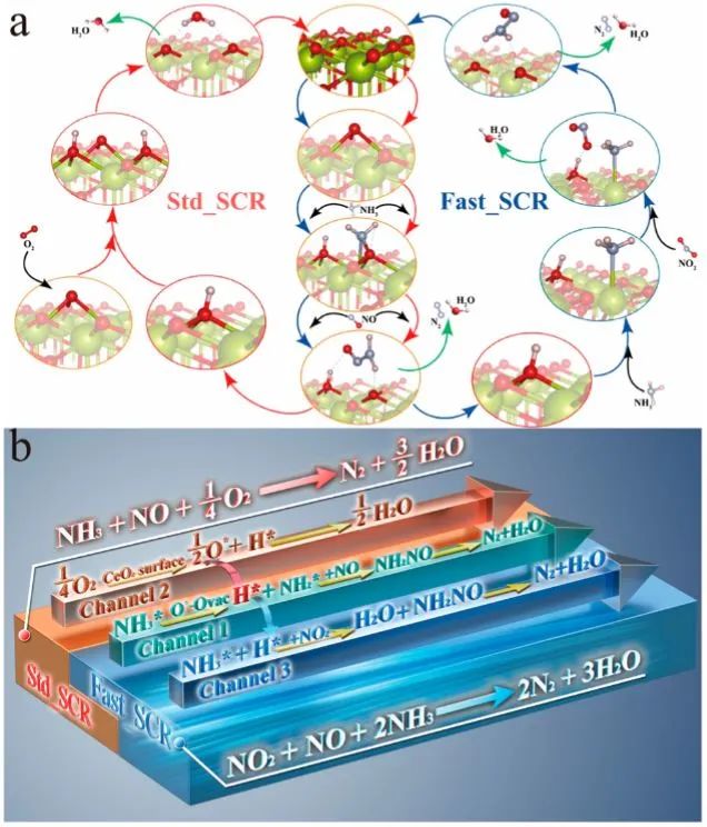 计算日报||顶刊集锦：JACS/Angew/AM/ACS Catal./Small等计算成果